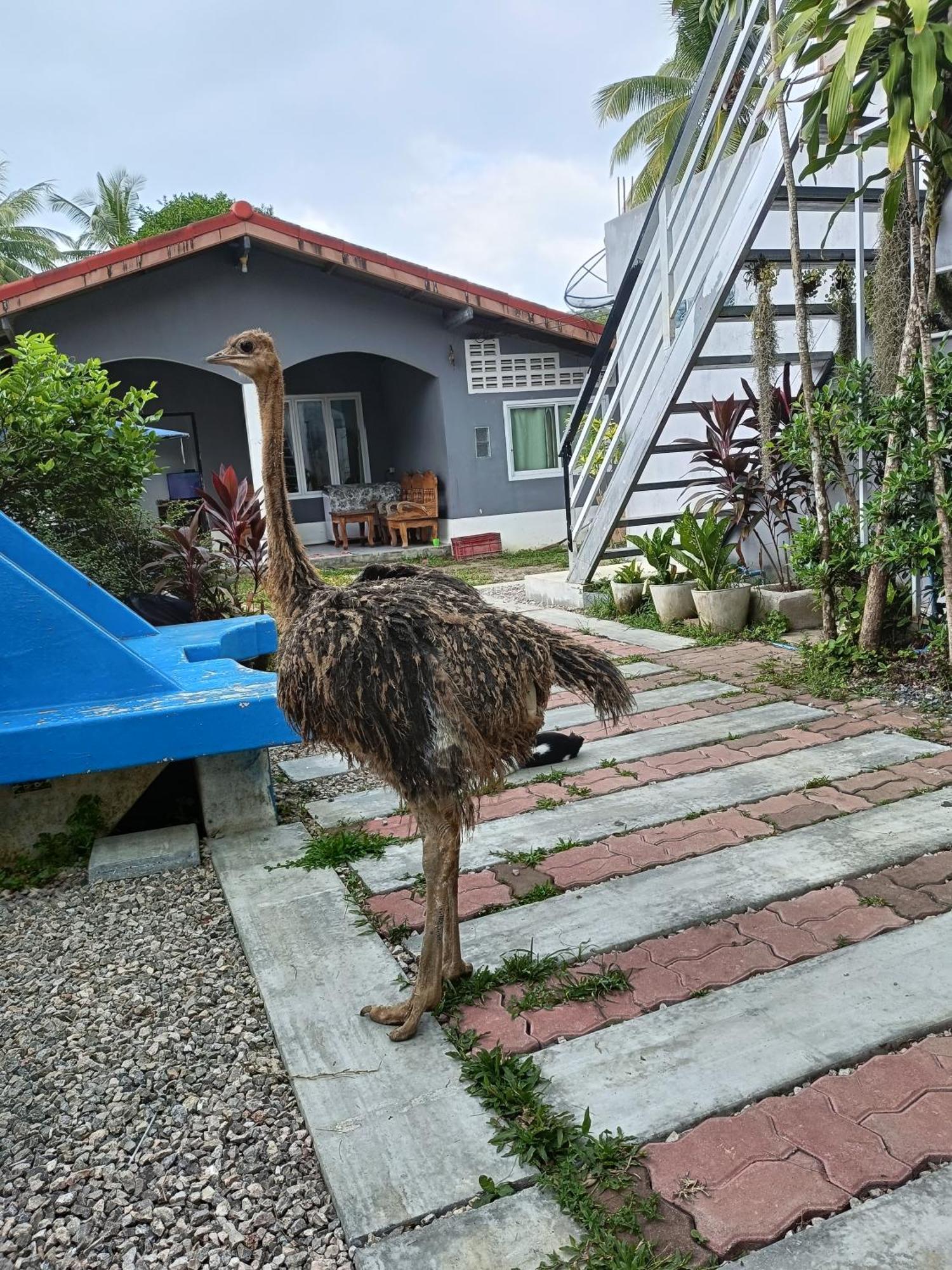 Mumzai House Lejlighed Koh Mook Værelse billede